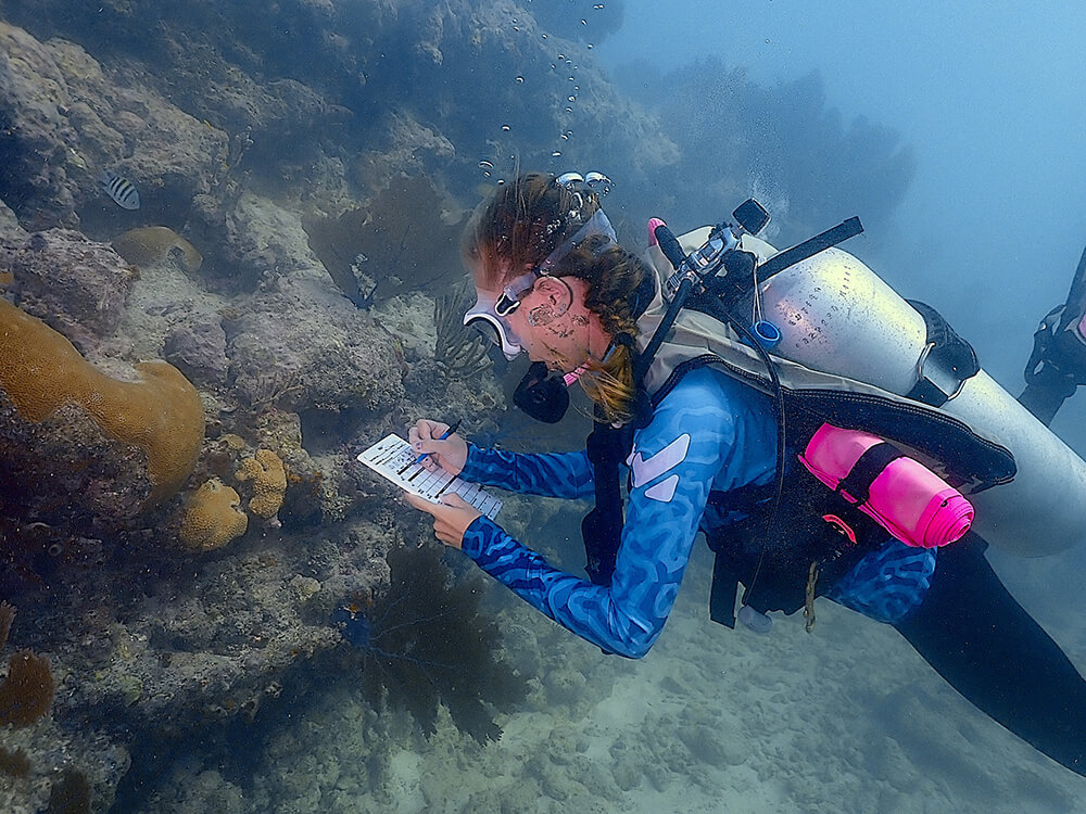 A diver records information about coral health on a dive slate underwater